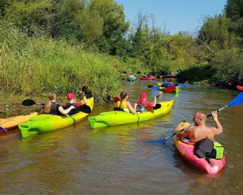 received_2266164713699260