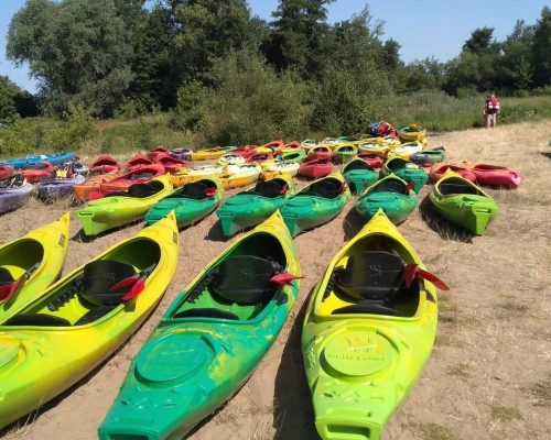 received_2275927712719586