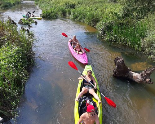 received_308422136632790